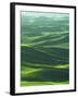 Wheat Fields, Palouse, Steptoe Butte State Park, Whitman County, Washington, USA-Charles Gurche-Framed Photographic Print