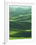 Wheat Fields, Palouse, Steptoe Butte State Park, Whitman County, Washington, USA-Charles Gurche-Framed Photographic Print