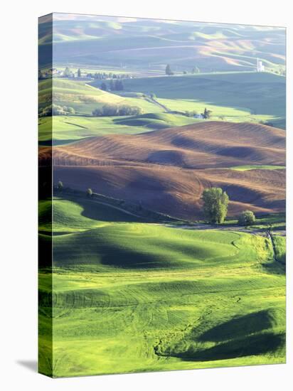 Wheat Fields, Palouse, Steptoe Butte State Park, Whitman County, Washington, USA-Charles Gurche-Stretched Canvas