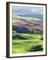 Wheat Fields, Palouse, Steptoe Butte State Park, Whitman County, Washington, USA-Charles Gurche-Framed Premium Photographic Print