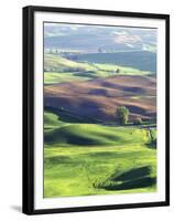 Wheat Fields, Palouse, Steptoe Butte State Park, Whitman County, Washington, USA-Charles Gurche-Framed Premium Photographic Print