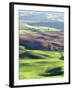 Wheat Fields, Palouse, Steptoe Butte State Park, Whitman County, Washington, USA-Charles Gurche-Framed Premium Photographic Print