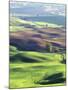 Wheat Fields, Palouse, Steptoe Butte State Park, Whitman County, Washington, USA-Charles Gurche-Mounted Premium Photographic Print