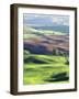 Wheat Fields, Palouse, Steptoe Butte State Park, Whitman County, Washington, USA-Charles Gurche-Framed Photographic Print