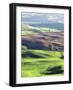 Wheat Fields, Palouse, Steptoe Butte State Park, Whitman County, Washington, USA-Charles Gurche-Framed Photographic Print