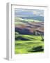 Wheat Fields, Palouse, Steptoe Butte State Park, Whitman County, Washington, USA-Charles Gurche-Framed Photographic Print