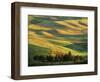 Wheat Fields, Palouse, Steptoe Butte State Park, Whitman County, Washington, USA-Charles Gurche-Framed Photographic Print