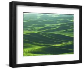 Wheat Fields, Palouse, Steptoe Butte State Park, Whitman County, Washington, USA-Charles Gurche-Framed Photographic Print