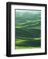 Wheat Fields, Palouse, Steptoe Butte State Park, Whitman County, Washington, USA-Charles Gurche-Framed Photographic Print