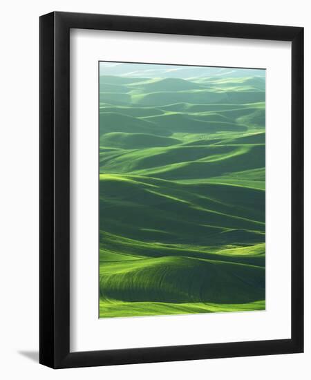 Wheat Fields, Palouse, Steptoe Butte State Park, Whitman County, Washington, USA-Charles Gurche-Framed Photographic Print