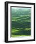 Wheat Fields, Palouse, Steptoe Butte State Park, Whitman County, Washington, USA-Charles Gurche-Framed Photographic Print