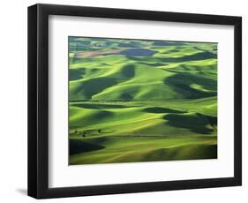 Wheat Fields, Palouse, Steptoe Butte State Park, Whitman County, Washington, USA-Charles Gurche-Framed Photographic Print