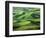 Wheat Fields, Palouse, Steptoe Butte State Park, Whitman County, Washington, USA-Charles Gurche-Framed Photographic Print