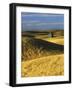 Wheat fields, Palouse, Whitman County, Washington, USA-Charles Gurche-Framed Photographic Print