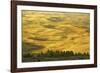 Wheat Fields, Palouse, Whitman County, Washington, USA-Charles Gurche-Framed Photographic Print