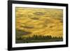 Wheat Fields, Palouse, Whitman County, Washington, USA-Charles Gurche-Framed Photographic Print