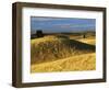 Wheat fields, Palouse, Whitman County, Washington, USA-Charles Gurche-Framed Photographic Print