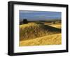 Wheat fields, Palouse, Whitman County, Washington, USA-Charles Gurche-Framed Photographic Print