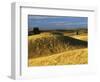 Wheat fields, Palouse, Whitman County, Washington, USA-Charles Gurche-Framed Photographic Print