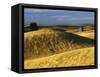 Wheat fields, Palouse, Whitman County, Washington, USA-Charles Gurche-Framed Stretched Canvas