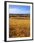 Wheat fields, Whitman County, Washington, USA-Charles Gurche-Framed Premium Photographic Print