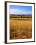 Wheat fields, Whitman County, Washington, USA-Charles Gurche-Framed Photographic Print