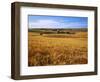 Wheat fields, Whitman County, Washington, USA-Charles Gurche-Framed Photographic Print