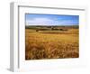 Wheat fields, Whitman County, Washington, USA-Charles Gurche-Framed Photographic Print