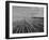 Wheat Fields-Margaret Bourke-White-Framed Photographic Print