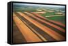 Wheat Fields-W. Perry Conway-Framed Stretched Canvas