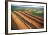 Wheat Fields-W. Perry Conway-Framed Photographic Print