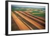 Wheat Fields-W. Perry Conway-Framed Photographic Print