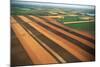 Wheat Fields-W. Perry Conway-Mounted Photographic Print