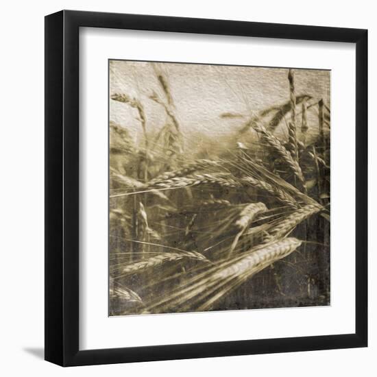 Wheat Fields-Jace Grey-Framed Art Print