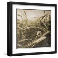 Wheat Fields-Jace Grey-Framed Art Print