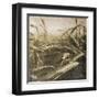 Wheat Fields-Jace Grey-Framed Art Print