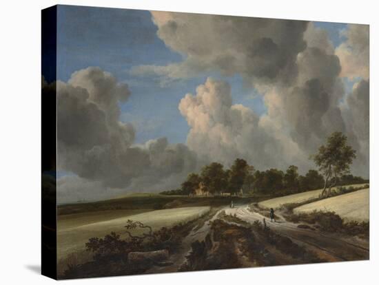 Wheat Fields-Jacob Isaaksz or Isaacksz van Ruisdael-Stretched Canvas