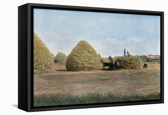 Wheat Harvest Canada-null-Framed Stretched Canvas