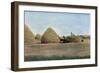 Wheat Harvest Canada-null-Framed Art Print