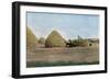 Wheat Harvest Canada-null-Framed Art Print