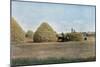 Wheat Harvest Canada-null-Mounted Art Print