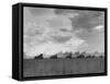 Wheat Harvest Time with Two Lines of Combines Lining Up in Field with Threatening Sky-Joe Scherschel-Framed Stretched Canvas