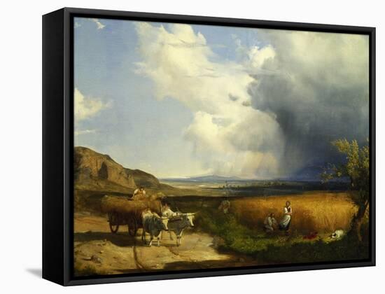 Wheat Harvest-Andras Marko-Framed Stretched Canvas