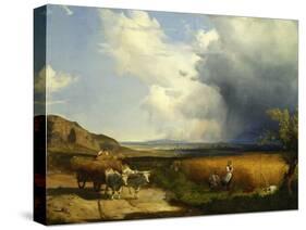 Wheat Harvest-Andras Marko-Stretched Canvas