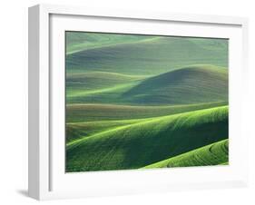 Wheat Springs in the Hills of the Palouse Country, Idaho, USA-Chuck Haney-Framed Premium Photographic Print