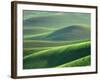 Wheat Springs in the Hills of the Palouse Country, Idaho, USA-Chuck Haney-Framed Photographic Print