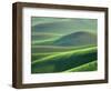 Wheat Springs in the Hills of the Palouse Country, Idaho, USA-Chuck Haney-Framed Photographic Print