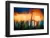 Wheat Stalks at Sundown-Ursula Abresch-Framed Photographic Print