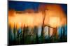 Wheat Stalks at Sundown-Ursula Abresch-Mounted Photographic Print