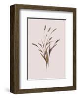 Wheat-Design Fabrikken-Framed Art Print